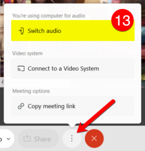 Select More Options to Switch Audio or Copy the Meeting Link.
